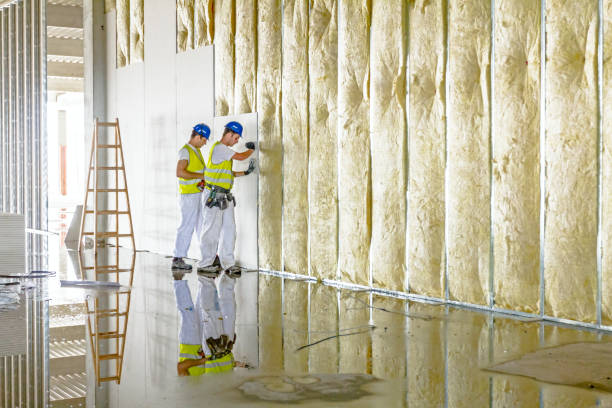 Best Attic Insulation Installation  in , MA